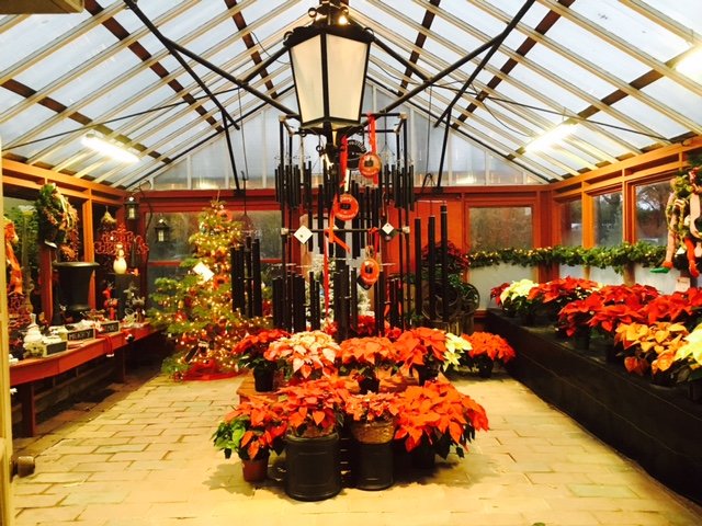 fullsizerender 66 - Christmas - Hillside Nursery Garden Center