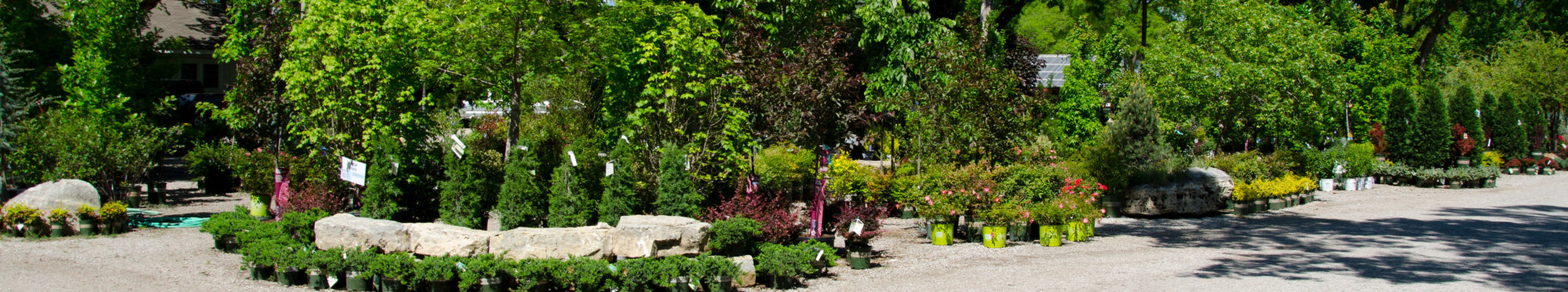 landscaping products - Landscaping - Hillside Nursery Garden Center